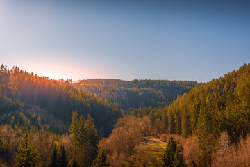 Picturesque sunset over an autumn forest with conifers covering the slopes of low mountains as the sun sets on the horizon