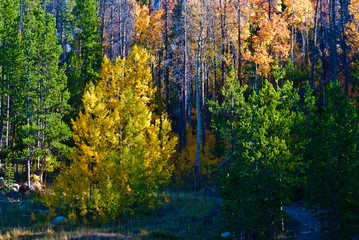 fall colors of autumn