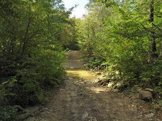 Naklejka na ściany i meble wade through a mountain stream with a rocky bottom on a forest road