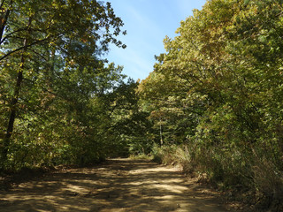 country dirt rocky road with small puddles on a sunny day in early autumn in the mountain forest of the Western Caucasus