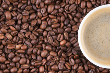 Roasted coffee beans and a half cup with coffee.