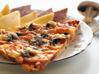 On the table is a plate with Italian pizza, cheese and sausage