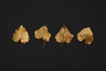 Gold painted autumn leaves on black background, flat lay