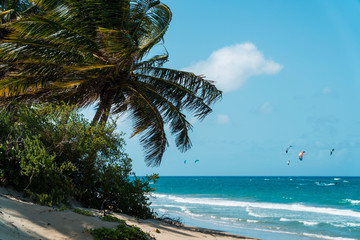 view of cabarete beach at the dominican republic. with unrecognizable kite surfers in the distance