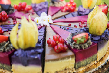 close up of a vegan raw colorful cake with fruit 