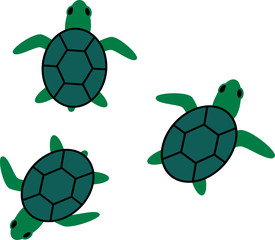 Sea Turtles