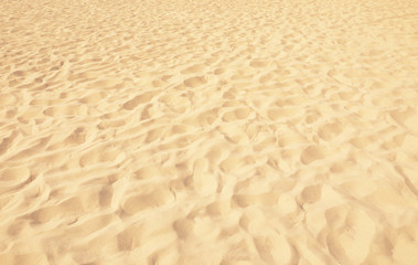 Golden beach sand on sunny day as background