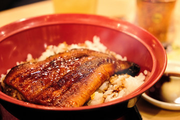 Kabayaki or BBQ eel with rice bowl.