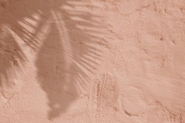 abstract background textuer of shadows tropic palm leaf on a concrete coral wall