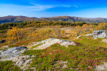 Fototapeta na wymiar Happy hiking in great autumn weather in northern Norway