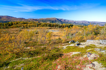 Happy hiking in great autumn weather in northern Norway