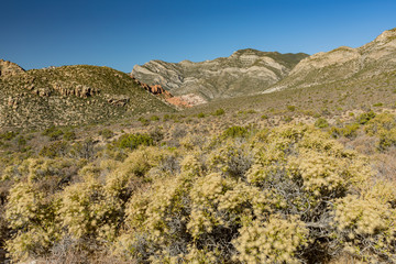 Beautiful landscape around Red Rock Canyon