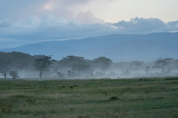 Dreamy Sundown Lake Nakuru Kenya