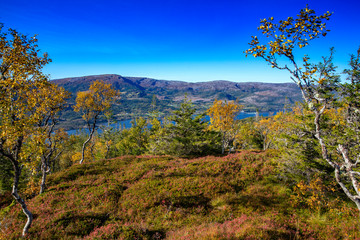 Happy hiking in great autumn weather in northern Norway