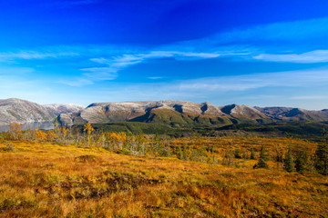 Fototapeta premium Happy hiking in great autumn weather in northern Norway