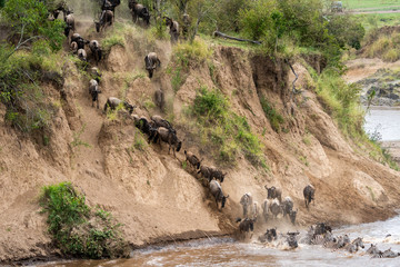 Wildebeest Migration Tanzania To Kenya