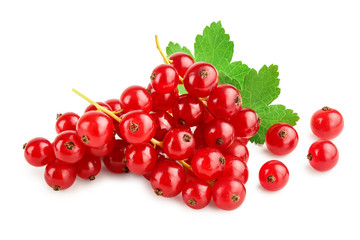 Red currant berries with leaf isolated on white background