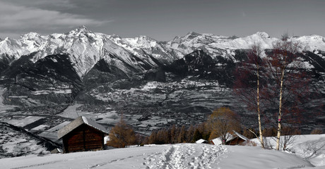 Fototapete bei efototapeten.de bestellen   