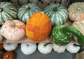 Close-up full frame view of a variety of colorful squash pumpkins and gourds displayed at a market stand