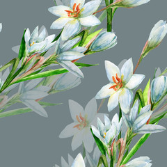 Bouquet of white watercolor flowers.Seamless pattern on white and colored background.