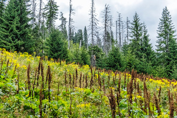 Babia hora hill, Orava, Slovakia
