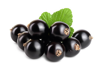 black currant with leaf isolated on white background