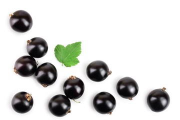black currant with leaf isolated on white background. Top view. Flat lay pattern. With space for your text