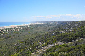 Fototapeta na wymiar Great Australian Bight Marine Park II
