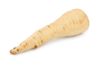 Parsnip root isolated on white background closeup