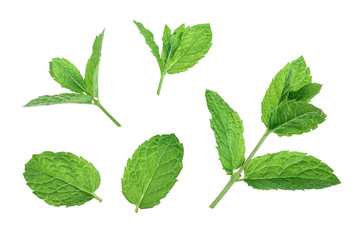Naklejka na ściany i meble fresh green mint leaves isolated on white background, top view. Flat lay