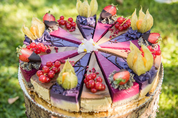 close up of a vegan raw colorful cake with fruit 