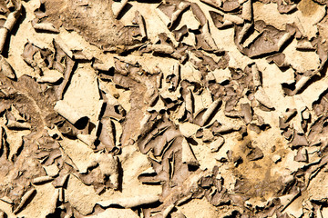 Dry cracked earth, abstract natural background