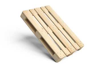 Wooden Euro pallet was not in use. Standing on the corner.