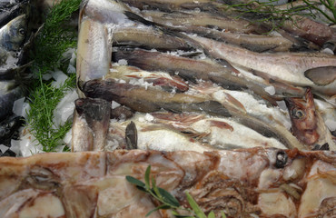 Fresh raw fish on store shelve with ice