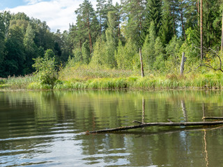 Obraz premium picture overlooking the lake on a sunny summer day, the sky and the reflections of trees on the water