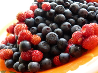 berries on white background