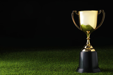 Golden trophy cup on green grass against black background. Space for text