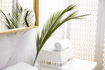 Tropical palm leaves in stylish bathroom interior