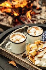 two cup of cocoa or hot chocolate and skewers of roasted marshmallows over campfire. autumn...