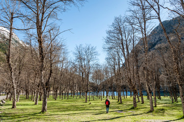 A hiker walks through the forest of the spa of Panticosa, in the Pyrenees Mountains (Spain).
