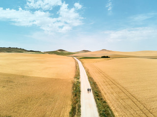 Fototapeta na wymiar Pilgrims Walking the Camino of Santiago In Spain Countryside