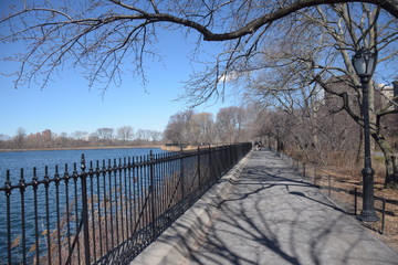 Fototapeta premium Central Park New York