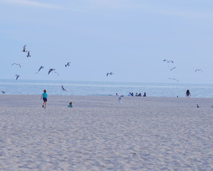 Boy on beach chasing birds