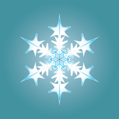 Blue-white snowflake illustration. Winter crystal element. JPEG