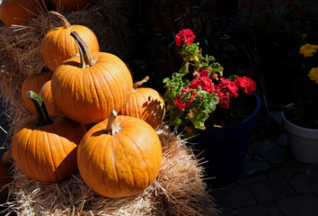 Thanksgiving and Halloween: Multiple pumpkins on and around stacks of hay