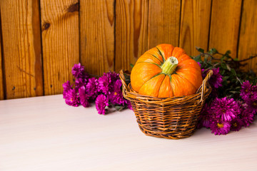 Autumn background with pumpkins and chrysanthemum flowers on wooden background, copy space. Happy Thanksgiving Day Background. Concept of Halloween. Pumpkin for autumn Harvest Festival. Autumn scene.