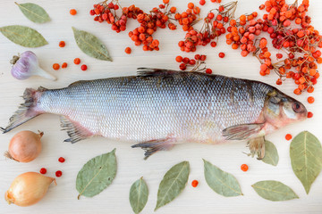 The muksun (Coregonus muksun) is a type of whitefish widespread in the Siberian Arctic waters. White fish surrounded by spices and seasonings.