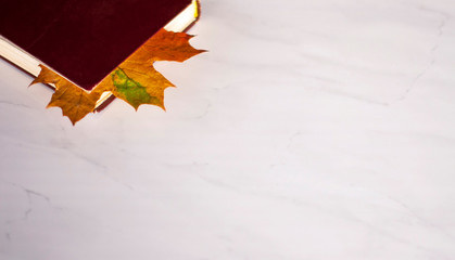 An old worn book of Burgundy with a bookmark of yellow autumn maple leaf lies on  a white marble...