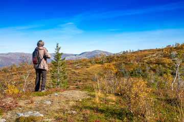 Naklejka na ściany i meble Happy hiking in great autumn weather in northern Norway