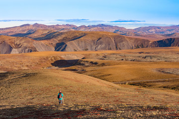 Hiker in alpine Tundra of Richardson Mountains, NWT, Canada